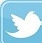 Twitter @augustorjunior