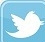 Twitter @augustorjunior